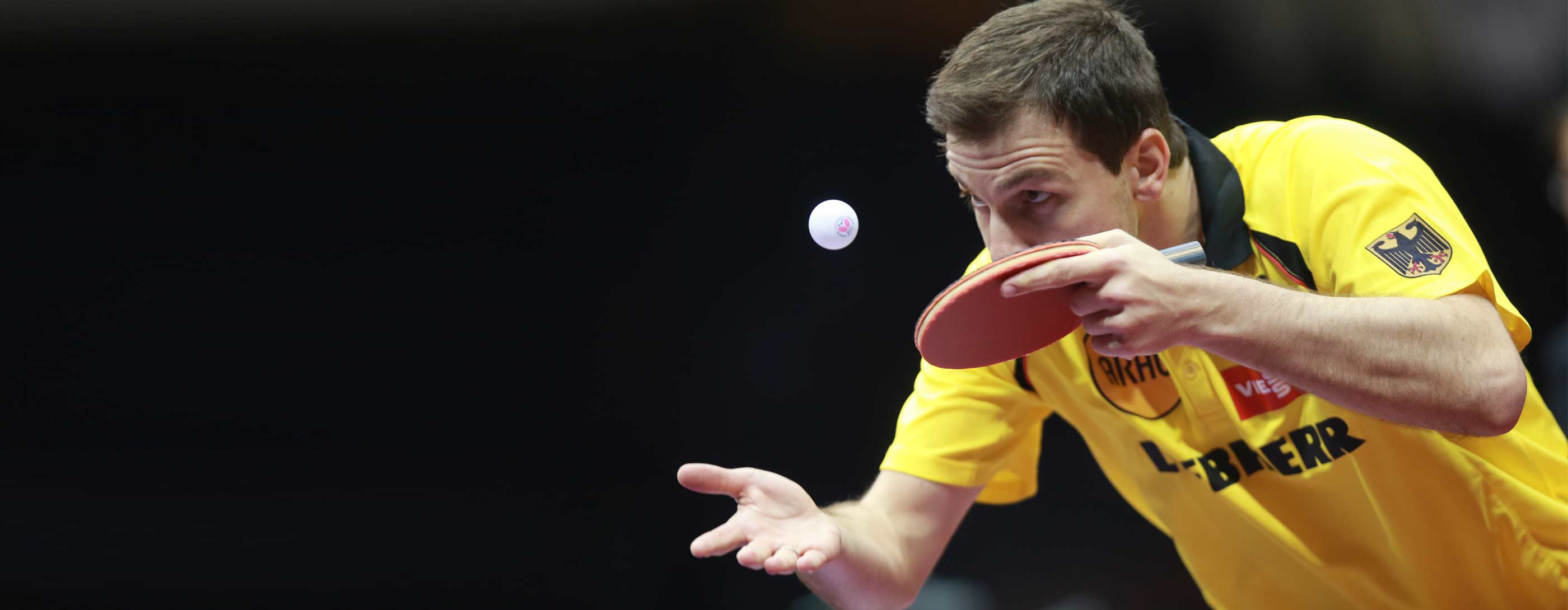 Timo boll