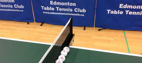 Butterfly, The Official Ball of the 2015 Edmonton Open Table Tennis Championships