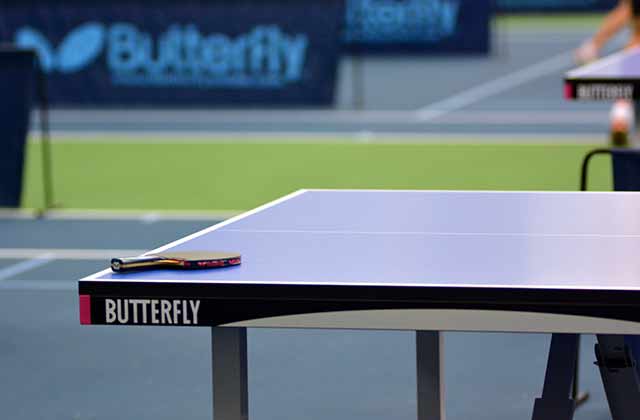 2015 Butterfly Teams