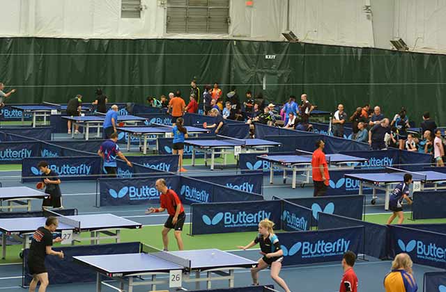 2015 Butterfly Teams: Play is Underway