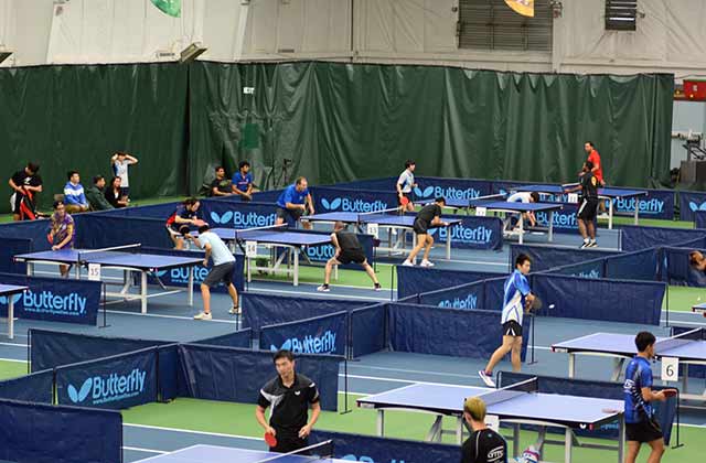 2015 Butterfly Teams: Play is Underway
