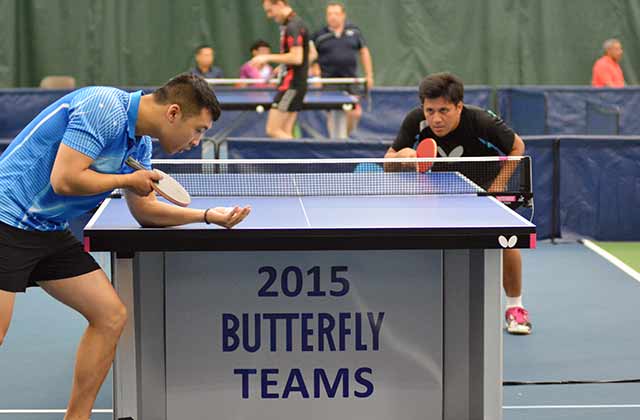 2015 Butterfly Teams Main Court