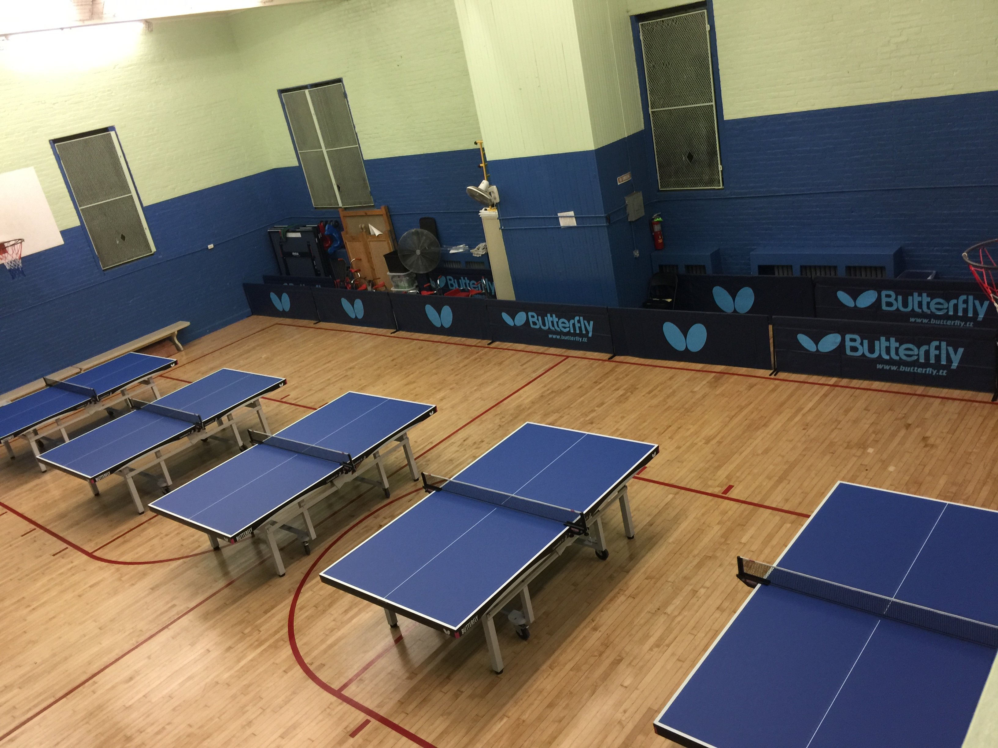 New York City Table Tennis Academy news Butterfly Table Tennis