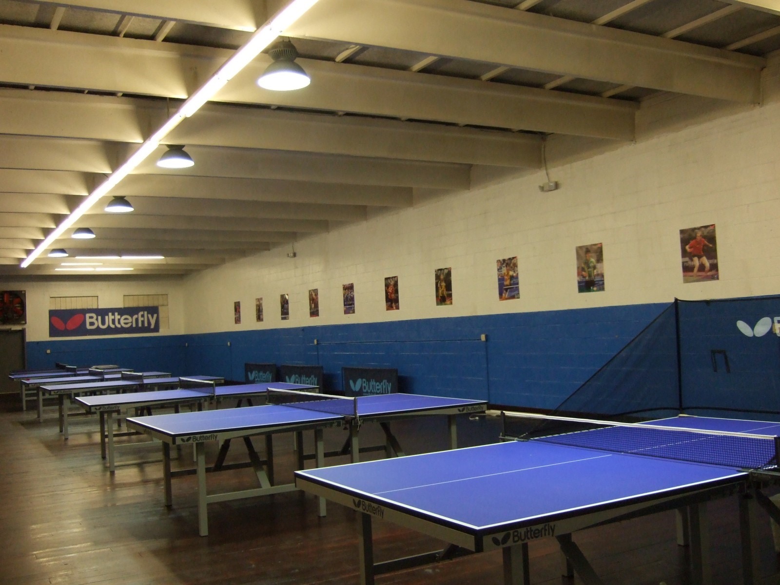 WAB CLUB: PowerStroke Table Tennis Club - ButterflyOnline