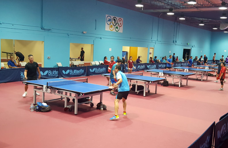 WAB CLUB: PowerStroke Table Tennis Club - ButterflyOnline