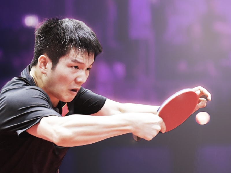 FAN, Zhendong