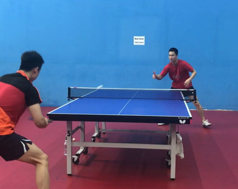 Table Tennis and Ping Pong Clubs in North America
