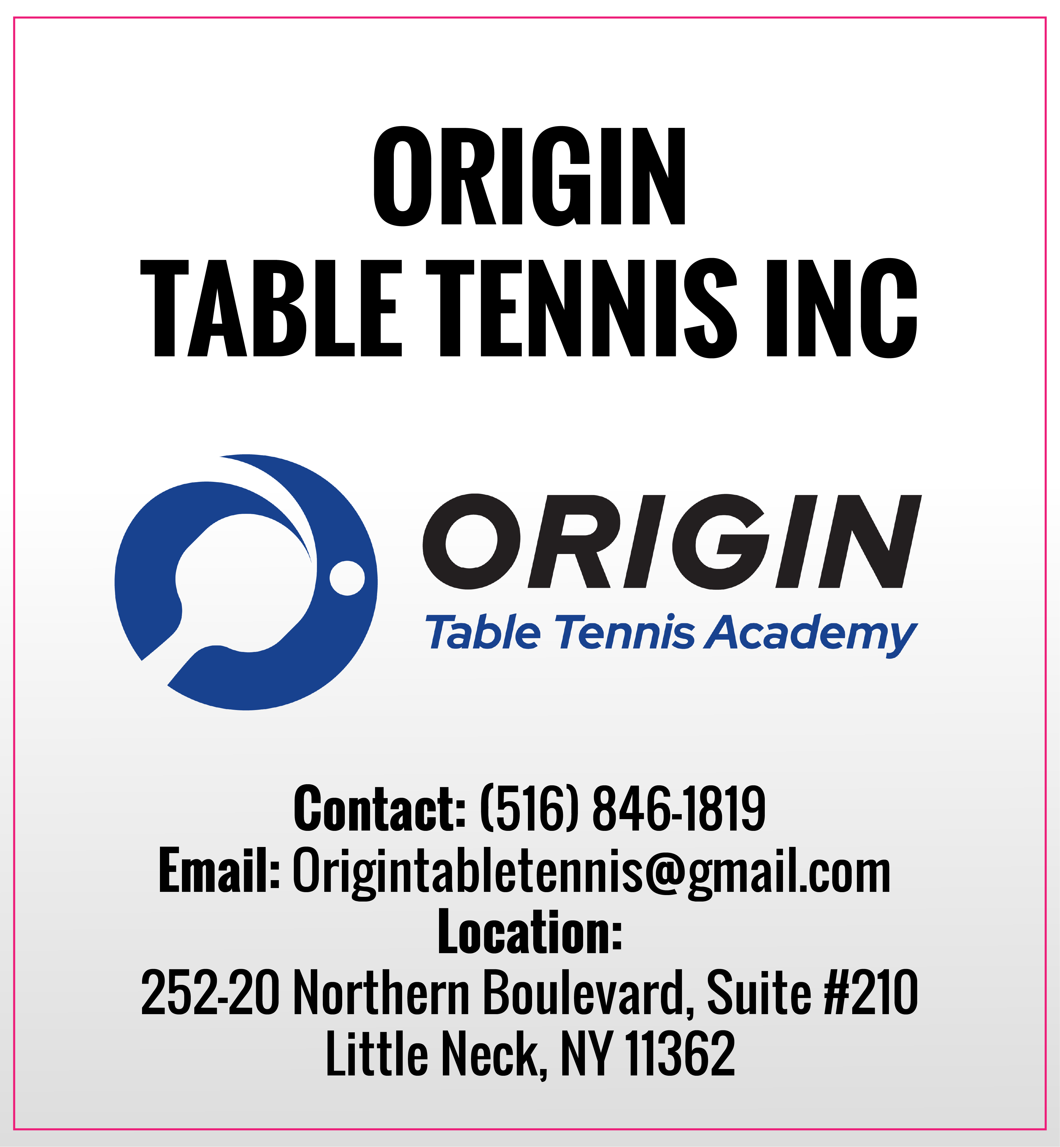 Origin Table Tennis 