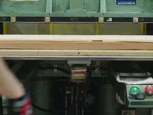 Sponge slicing: Figure 2