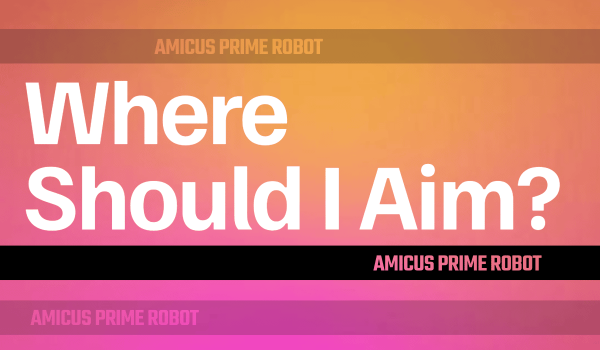 Where Should I Aim?