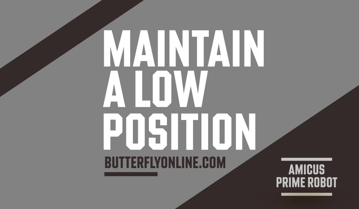Maintain a Low Position